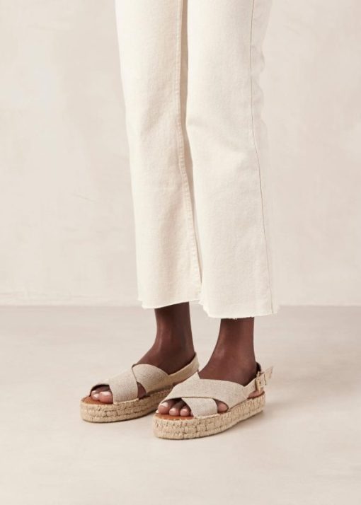 Modaary.shop311088ace6 3