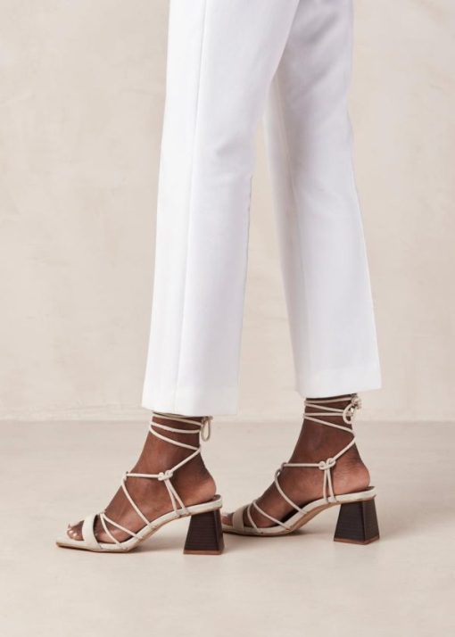 Modaary.shop326906ac55 3