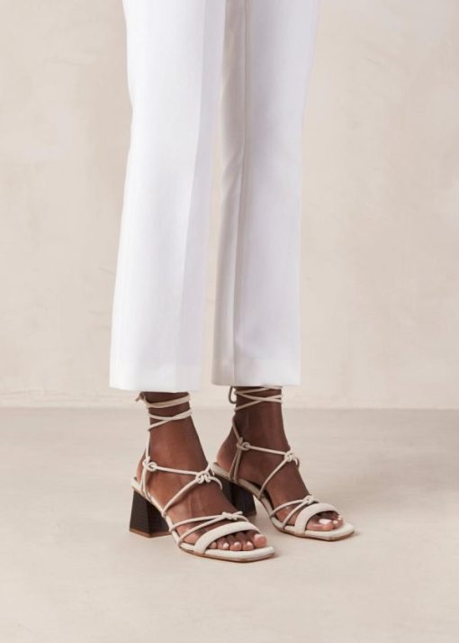 Modaary.shop326906ac55 4