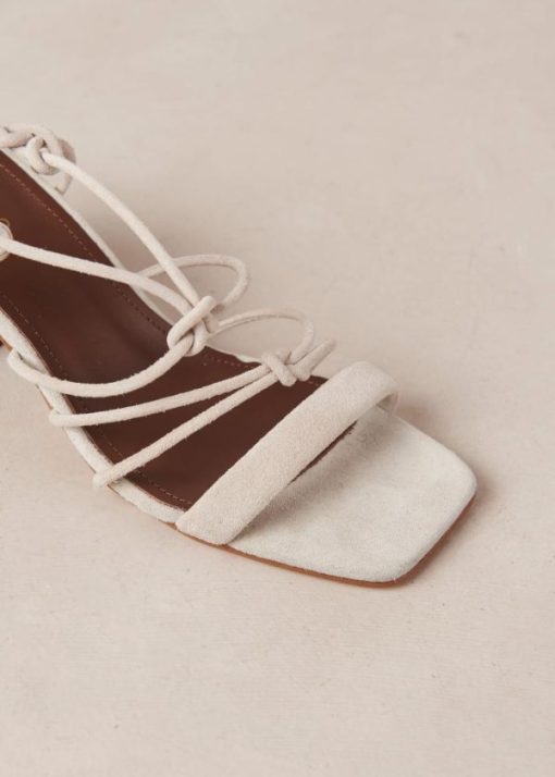 Modaary.shop326906ac55 7