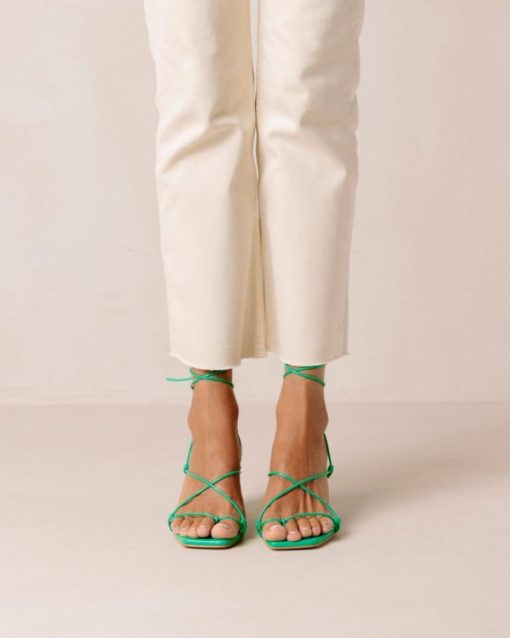 Modaary.shop32e8b73d05 4