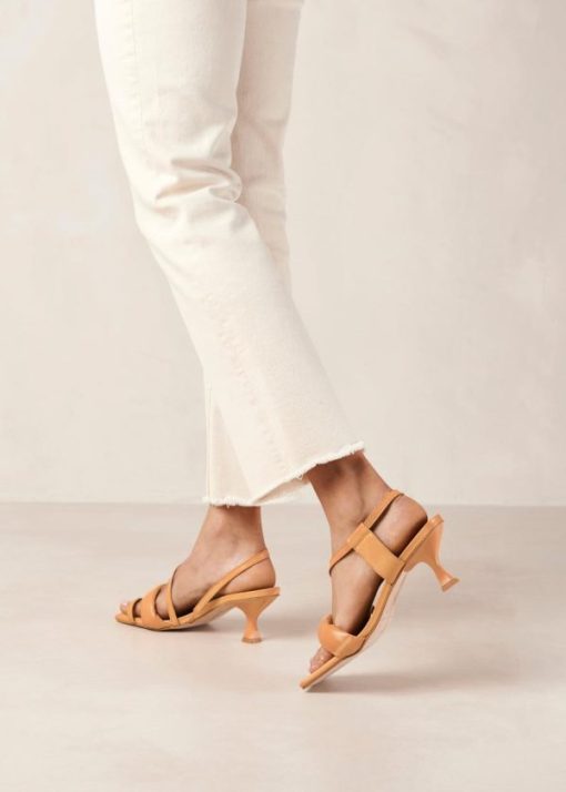 Modaary.shop335e47634d 1
