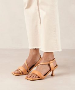 Modaary.shop335e47634d 2