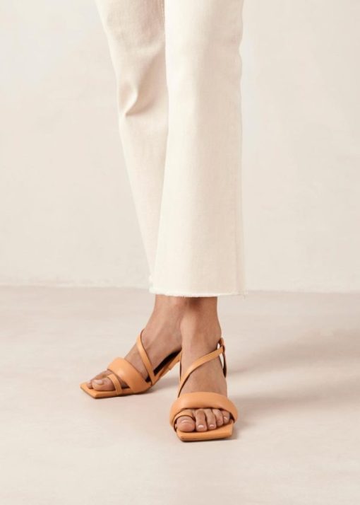 Modaary.shop335e47634d 4