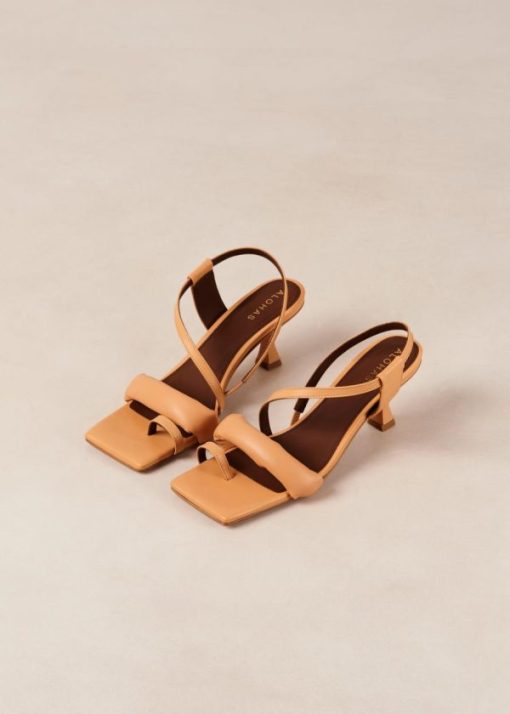 Modaary.shop335e47634d 5