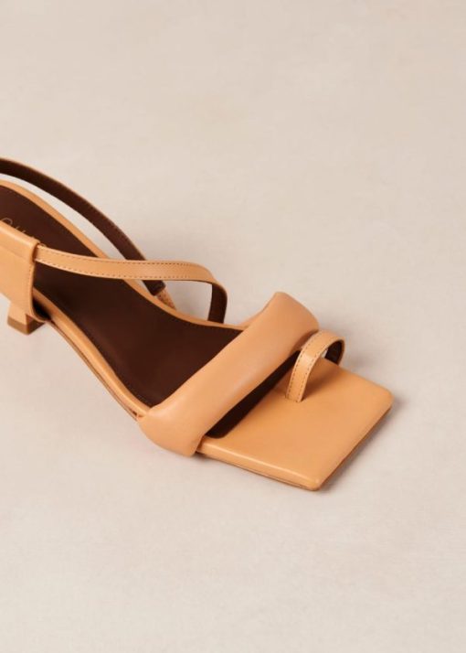 Modaary.shop335e47634d 6