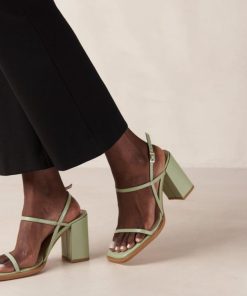Modaary.shop374b150428 1