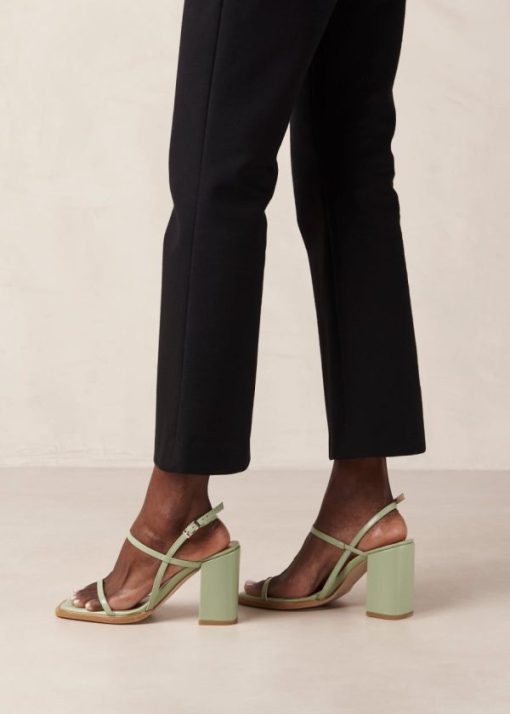 Modaary.shop374b150428 4