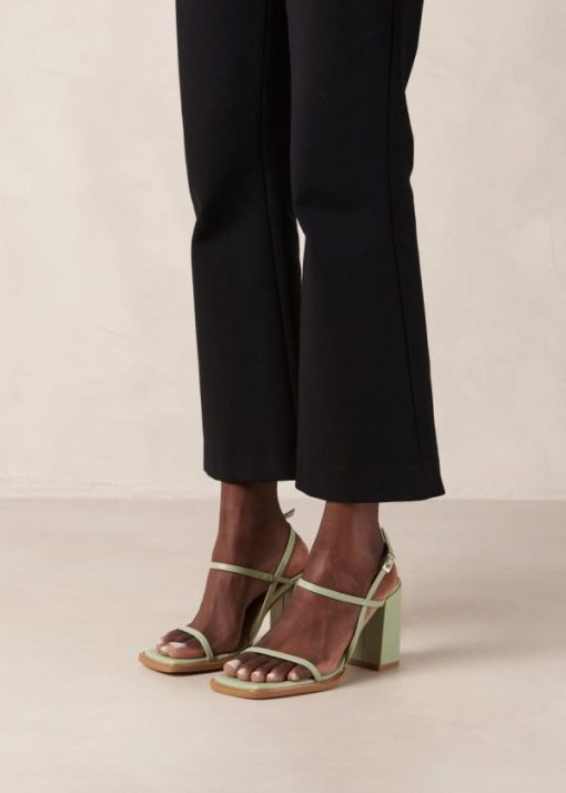 Modaary.shop374b150428 5