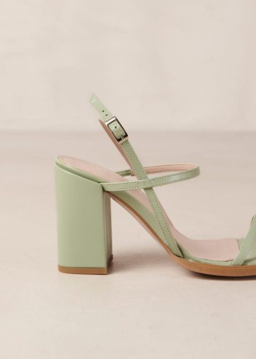 Modaary.shop374b150428 7