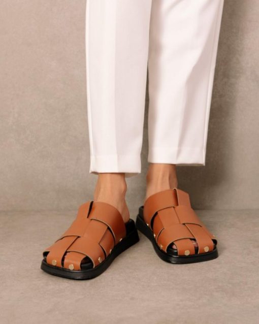 Modaary.shop38dc8731fb 1