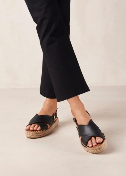Modaary.shop3dbc49e073 1