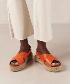 Modaary.shop454e7de1fe 2