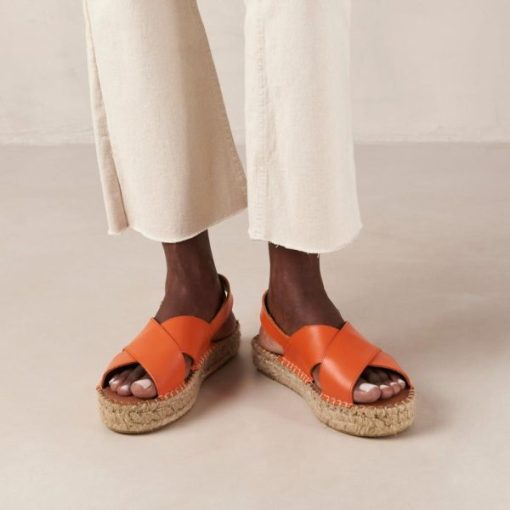 Modaary.shop454e7de1fe 2