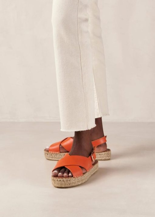 Modaary.shop454e7de1fe 4