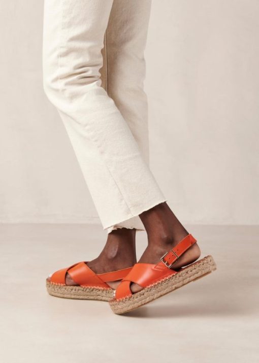 Modaary.shop454e7de1fe 5