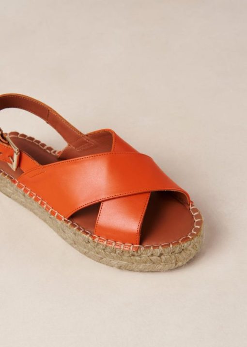 Modaary.shop454e7de1fe 7