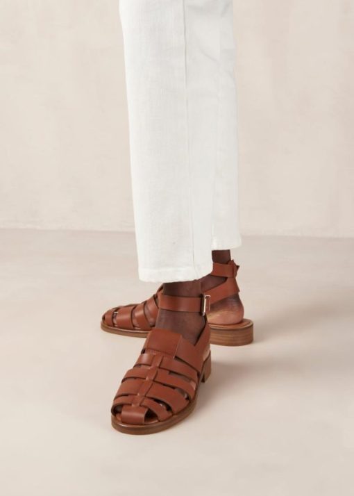 Modaary.shop45e69085a1 5