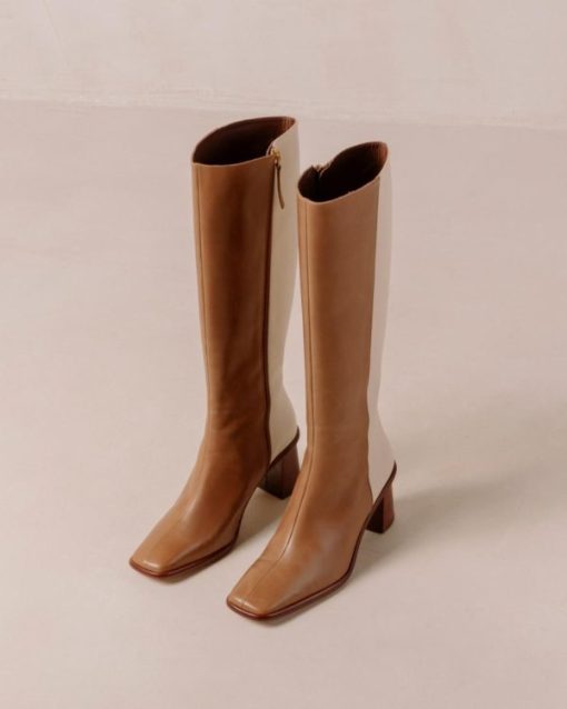 Modaary.shop46a33c826d 6