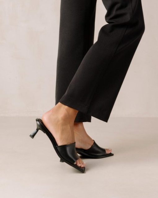 Modaary.shop48c3414ed5 1