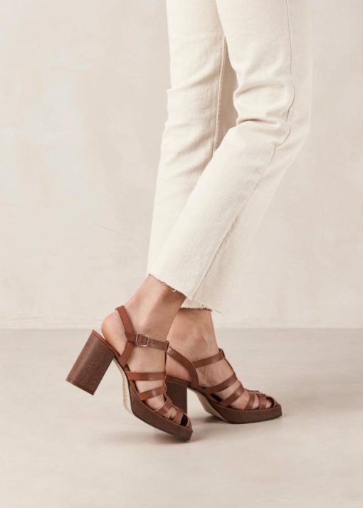 Modaary.shop4a15fff3d4 3