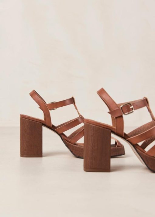 Modaary.shop4a15fff3d4 6