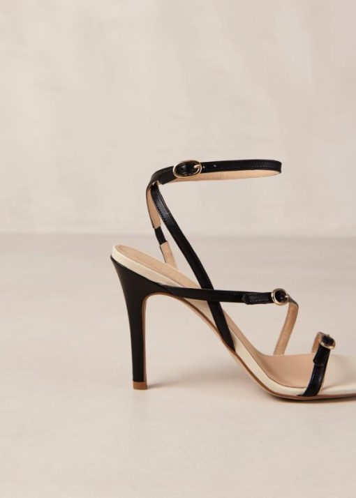Modaary.shop4a4ee1abc4 7