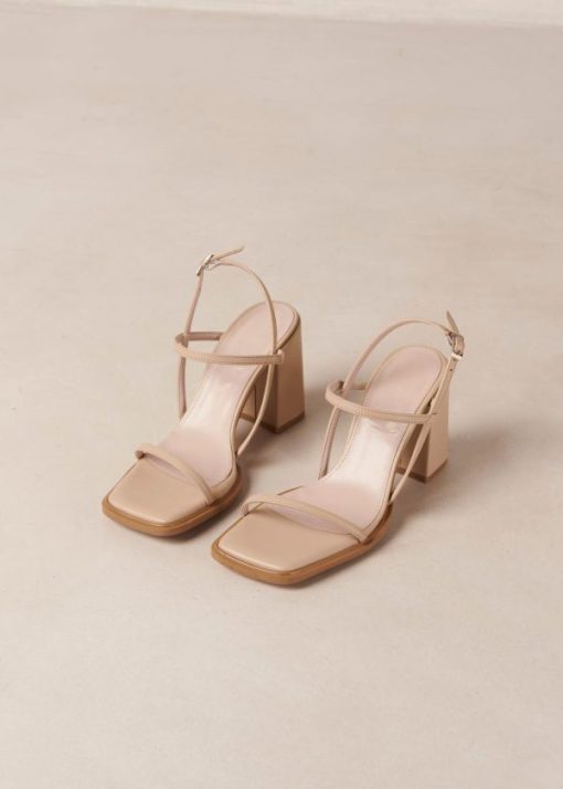 Modaary.shop4b6f7ac125 6
