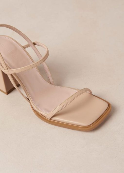 Modaary.shop4b6f7ac125 7