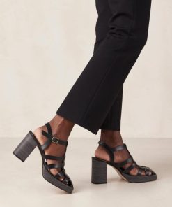 Modaary.shop4b79aa6577 1