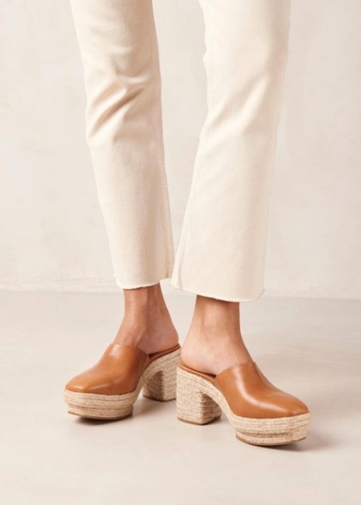 Modaary.shop4c66c2ec19 4