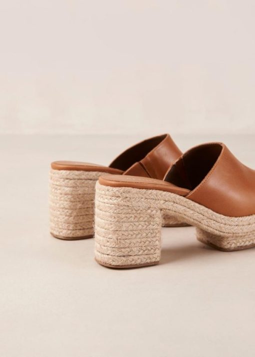 Modaary.shop4c66c2ec19 6