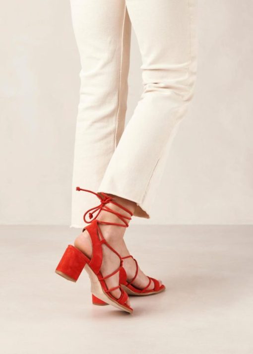 Modaary.shop4df17739a2 1