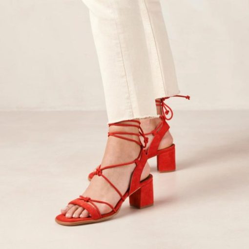 Modaary.shop4df17739a2 2