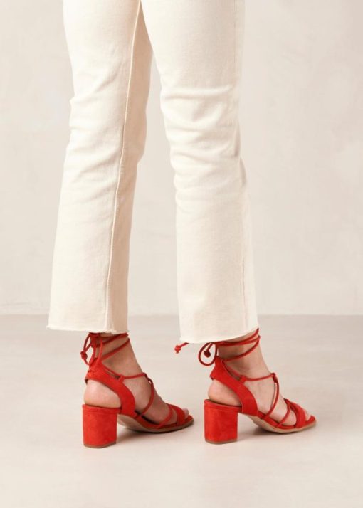Modaary.shop4df17739a2 4
