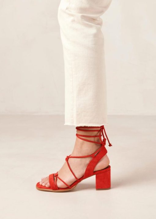 Modaary.shop4df17739a2 5