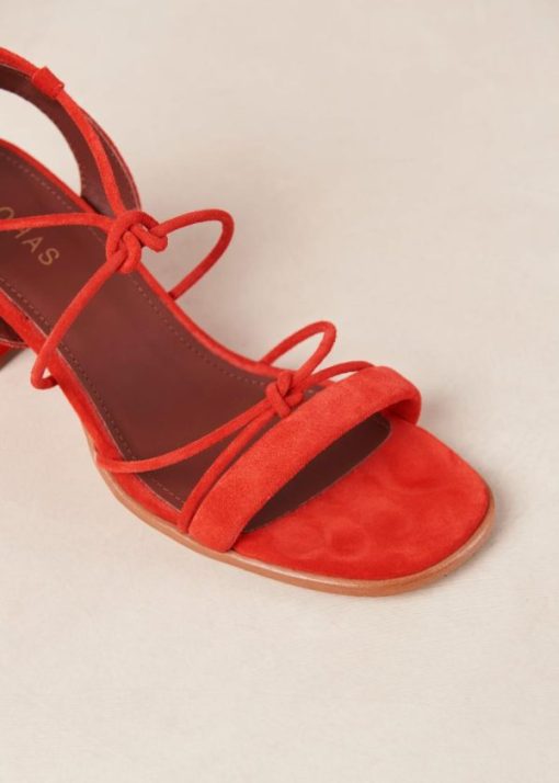 Modaary.shop4df17739a2 7