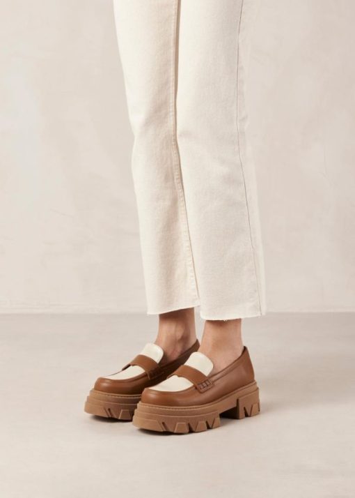 Modaary.shop512df19a9a 1