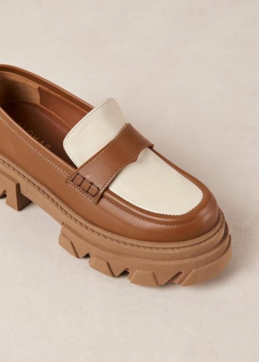Modaary.shop512df19a9a 6