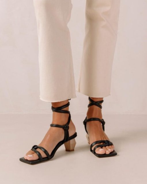 Modaary.shop553b6141d0 1