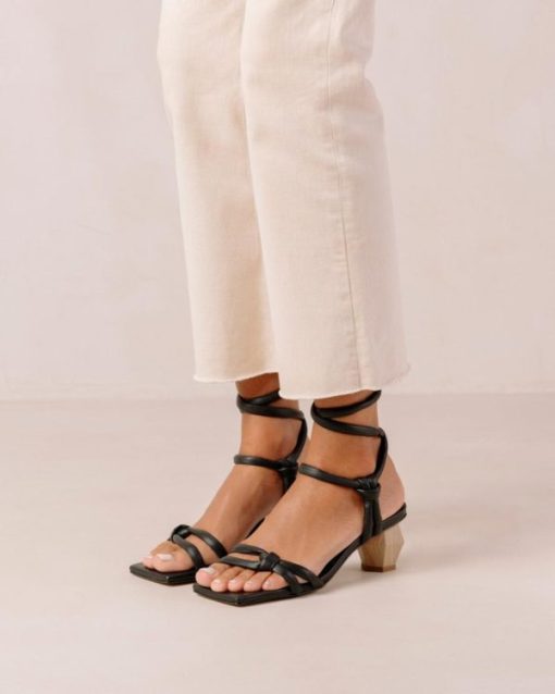 Modaary.shop553b6141d0 3