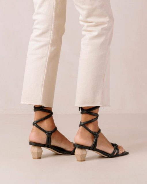 Modaary.shop553b6141d0 4