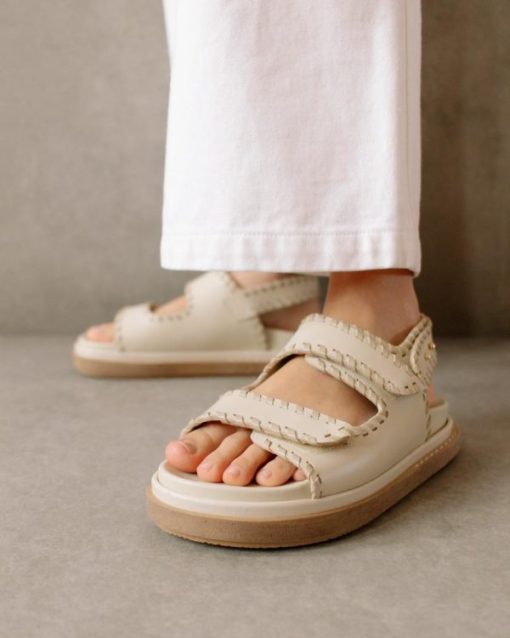 Modaary.shop5c20cd5842 6