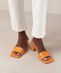 Modaary.shop5ca45c5300 2