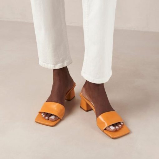Modaary.shop5ca45c5300 2