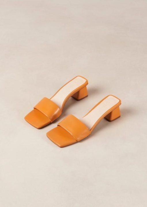 Modaary.shop5ca45c5300 6