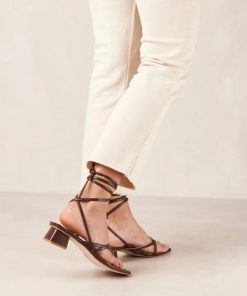 Modaary.shop6648e5e5b1 1