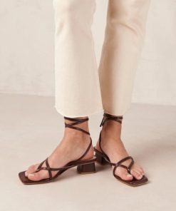 Modaary.shop6648e5e5b1 2