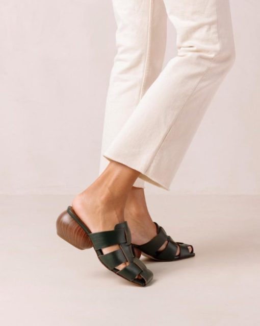 Modaary.shop67a271b5e0 6
