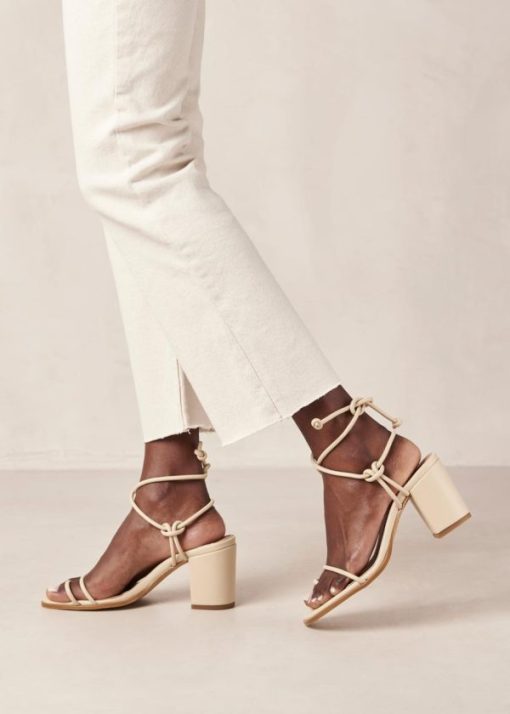 Modaary.shop68e9762e31 7